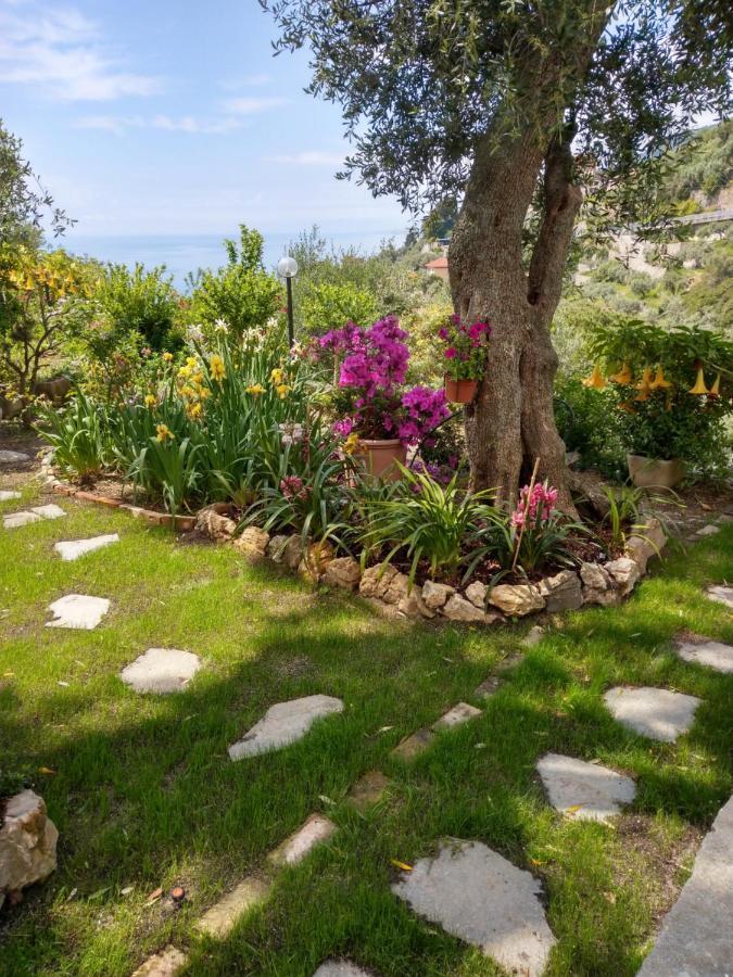 Villino Brunetto Azienda Agrituristica Camogli Exterior foto