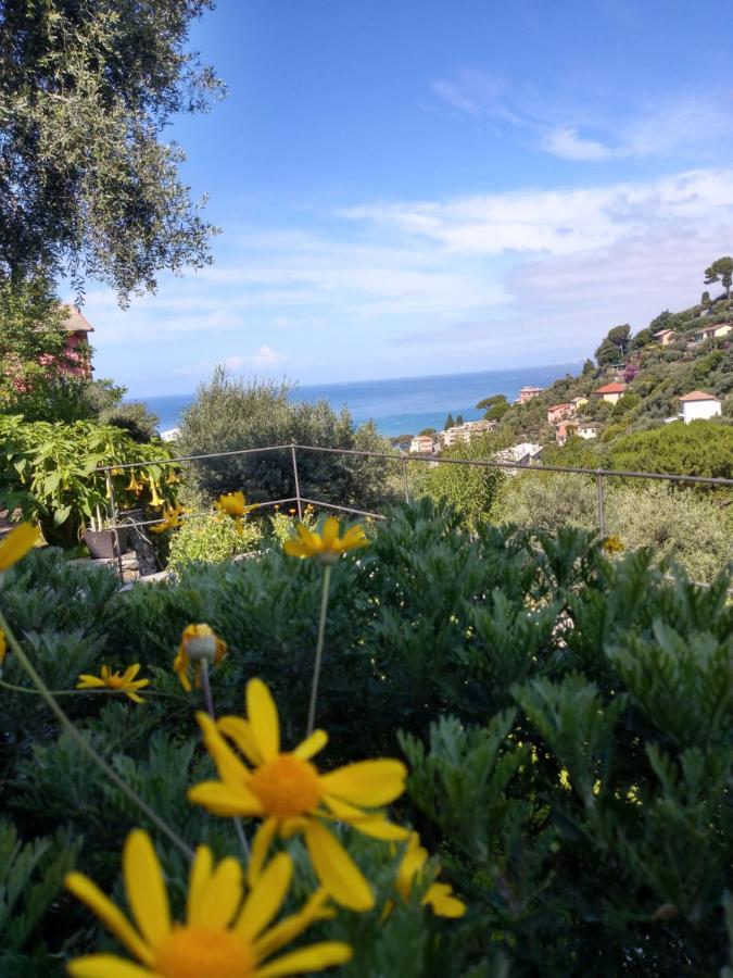 Villino Brunetto Azienda Agrituristica Camogli Exterior foto